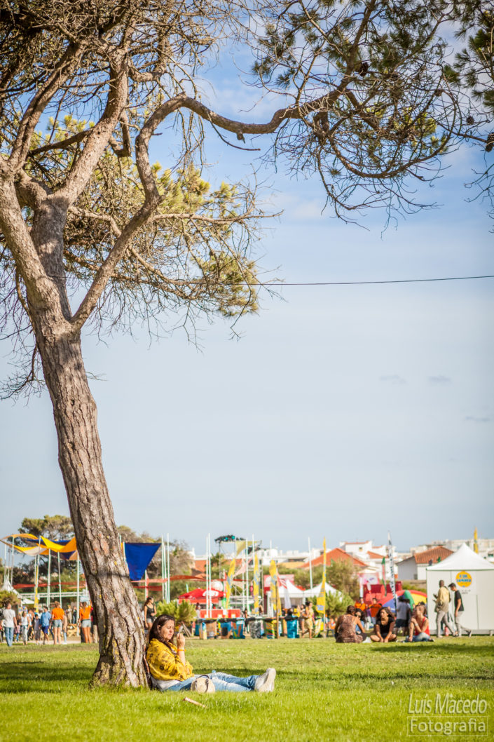 festival sol caparica 2015 reportagem ambiente fotografia publico
