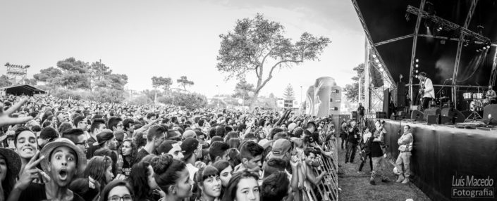 festival sol caparica 2015 reportagem ambiente fotografia publico