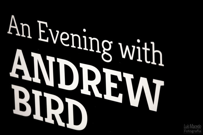 evening with andrew bird concerto fotografia violino assobio ccb