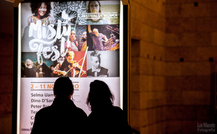 evening with andrew bird concerto fotografia violino assobio ccb
