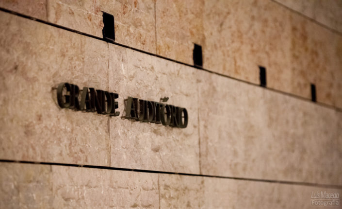 evening with andrew bird concerto fotografia violino assobio ccb