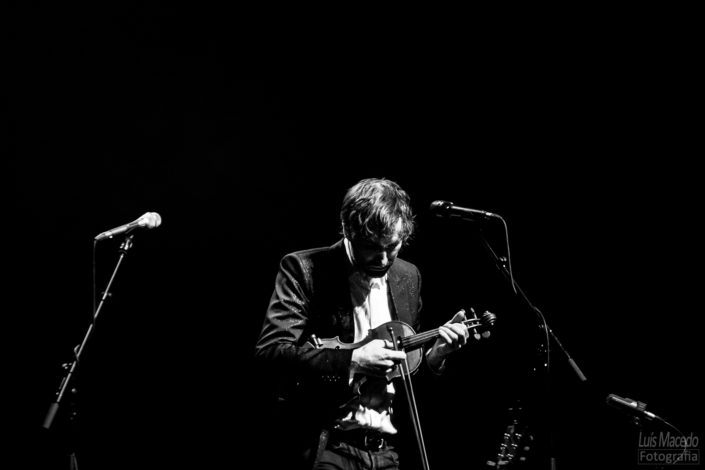 evening with andrew bird concerto fotografia violino assobio ccb
