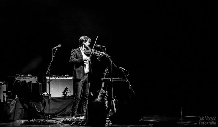 evening with andrew bird concerto fotografia violino assobio ccb