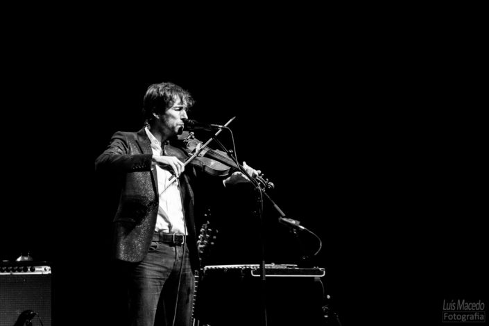 evening with andrew bird concerto fotografia violino assobio ccb