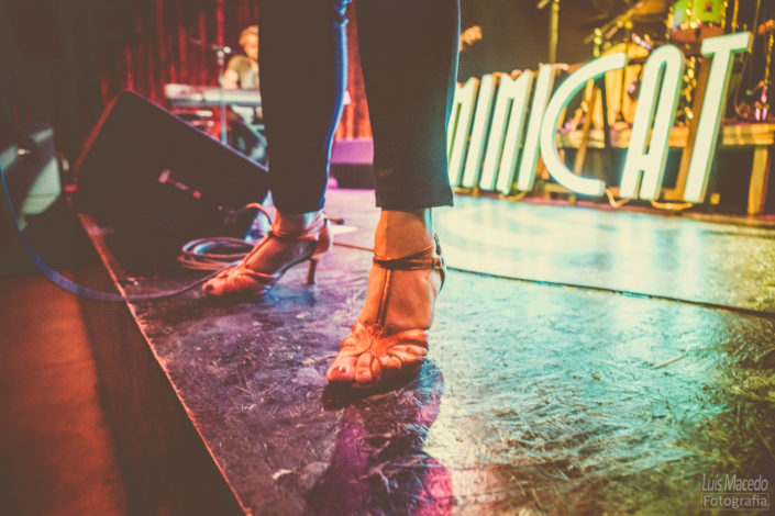 mimicat bleza funk soul blues musica fotografia concerto live