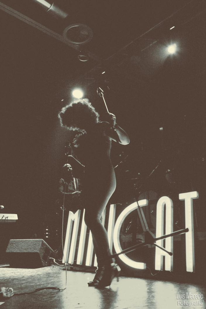 mimicat bleza funk soul blues musica fotografia concerto live