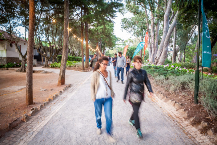 festival groove cascais 2017 musica reportagem concerto ambiente publico