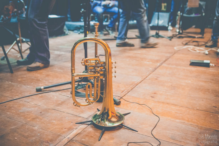 tribute frank zappa brass factory concerto disco fotografia musica tributo
