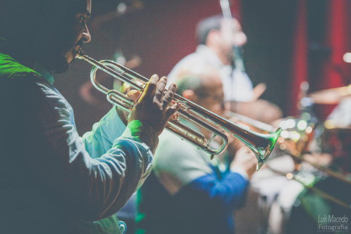 tribute frank zappa brass factory concerto disco fotografia musica tributo