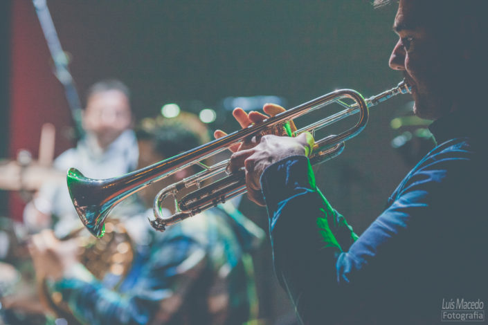 tribute frank zappa brass factory concerto disco fotografia musica tributo