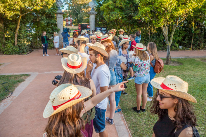 edp festival cool jazz musica ambiente publico bugg palma