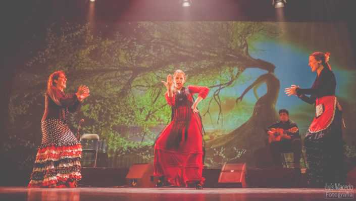 marta chasqueira danca sencillo flamenco musica reportagem fotogrfia all areas access