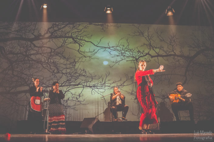marta chasqueira danca sencillo flamenco musica reportagem fotogrfia all areas access